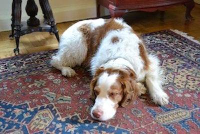 toby May 2011